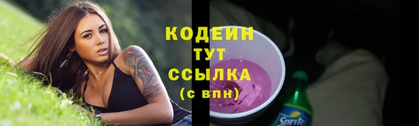 МДПВ Богородицк