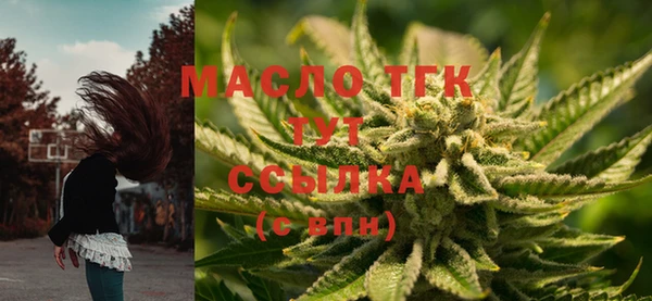 МДПВ Богородицк