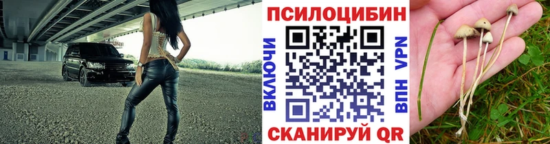 Псилоцибиновые грибы мицелий  Купить где  Сатка 